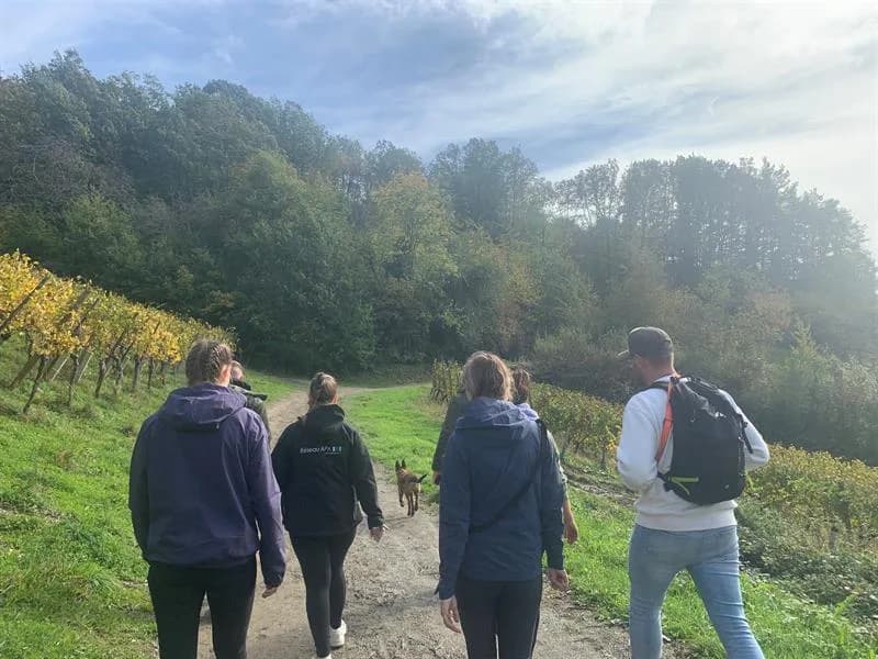 Image 2 : Promenade d'automne - marche gourmande background