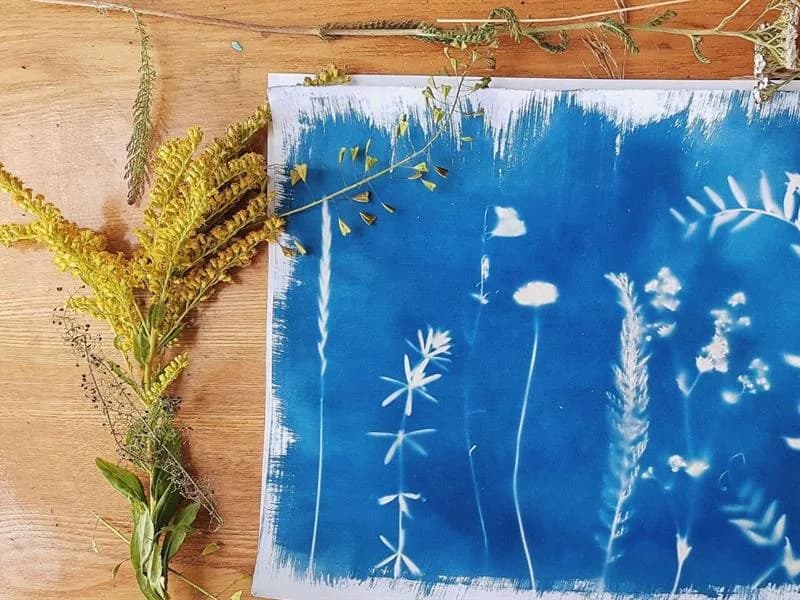 Image 1 : Atelier découverte du cyanotype background