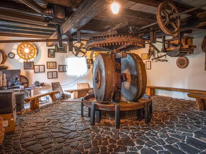Image 1 : Visite et démonstration du moulin à huile background