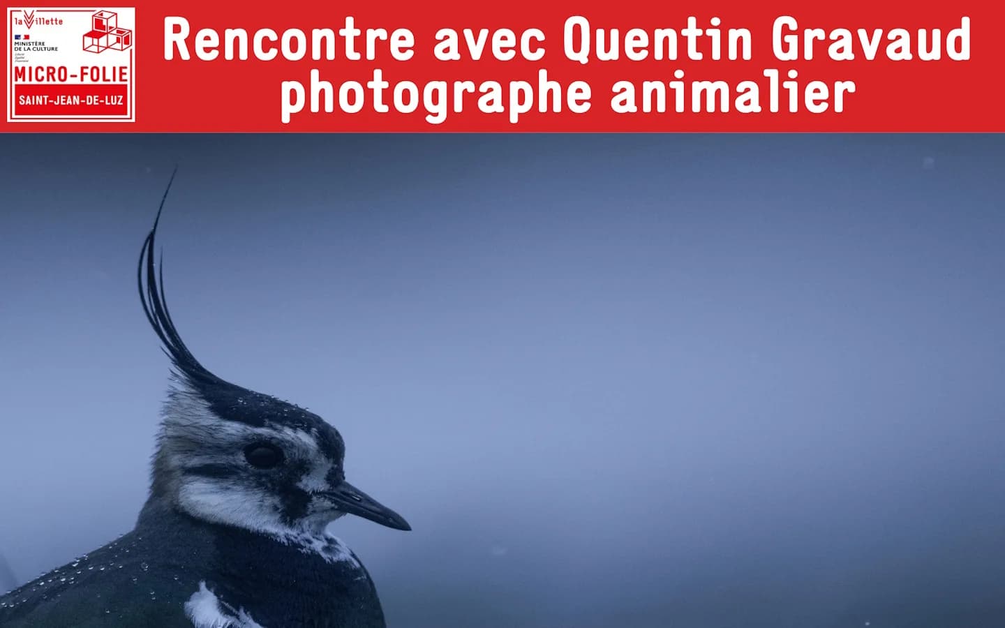 Image 1 : Micro-Folie : Rencontre avec Quentin Gravaud background