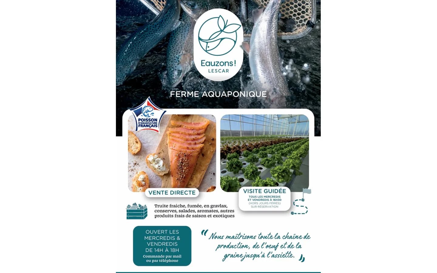 Image 1 : Visite Ferme Aquaponique background