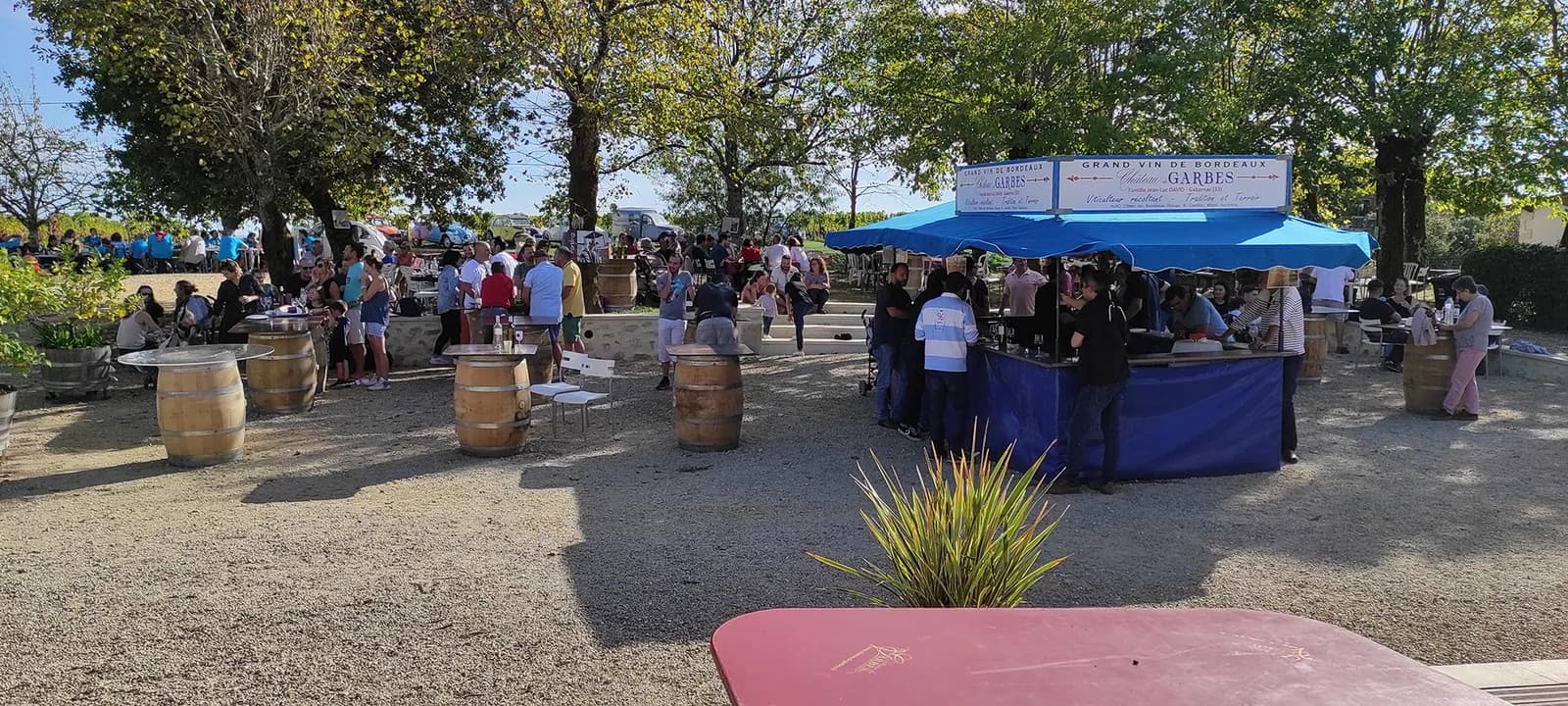 Image 1 : Fête des vendanges et randonnée au Château de Garbes background