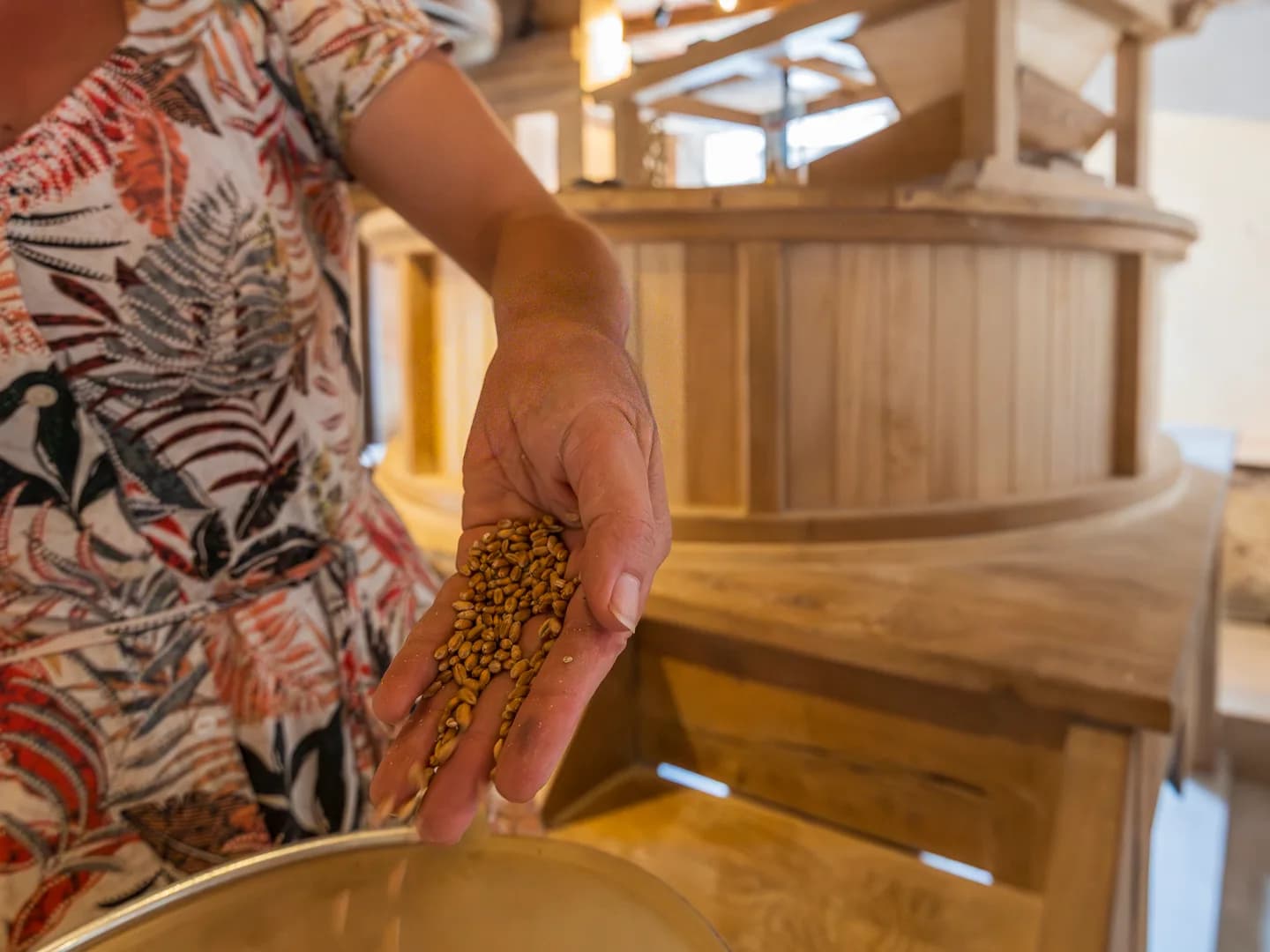 Image 5 : Stage de fabrication de levain et de pain, au moulin de Sabathier background