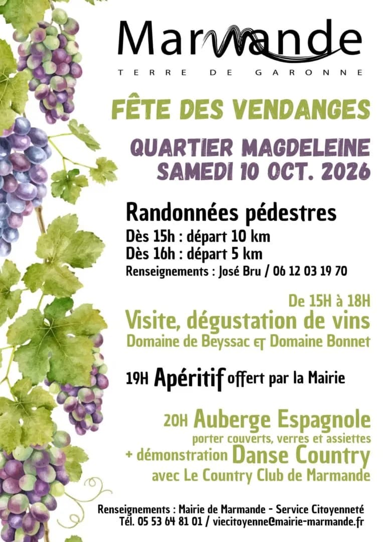 Image 1 : Fête des vendanges background