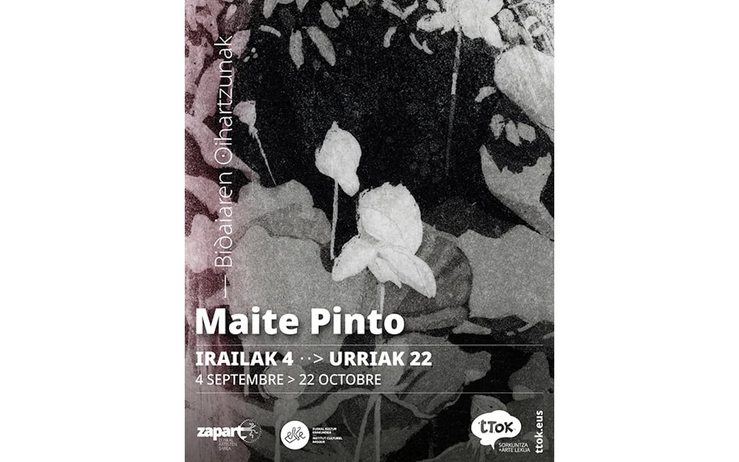 Image 1 : Exposition de Maité PINTO : "Bidaiaren oihartzunak" - "Echos de voyage" background
