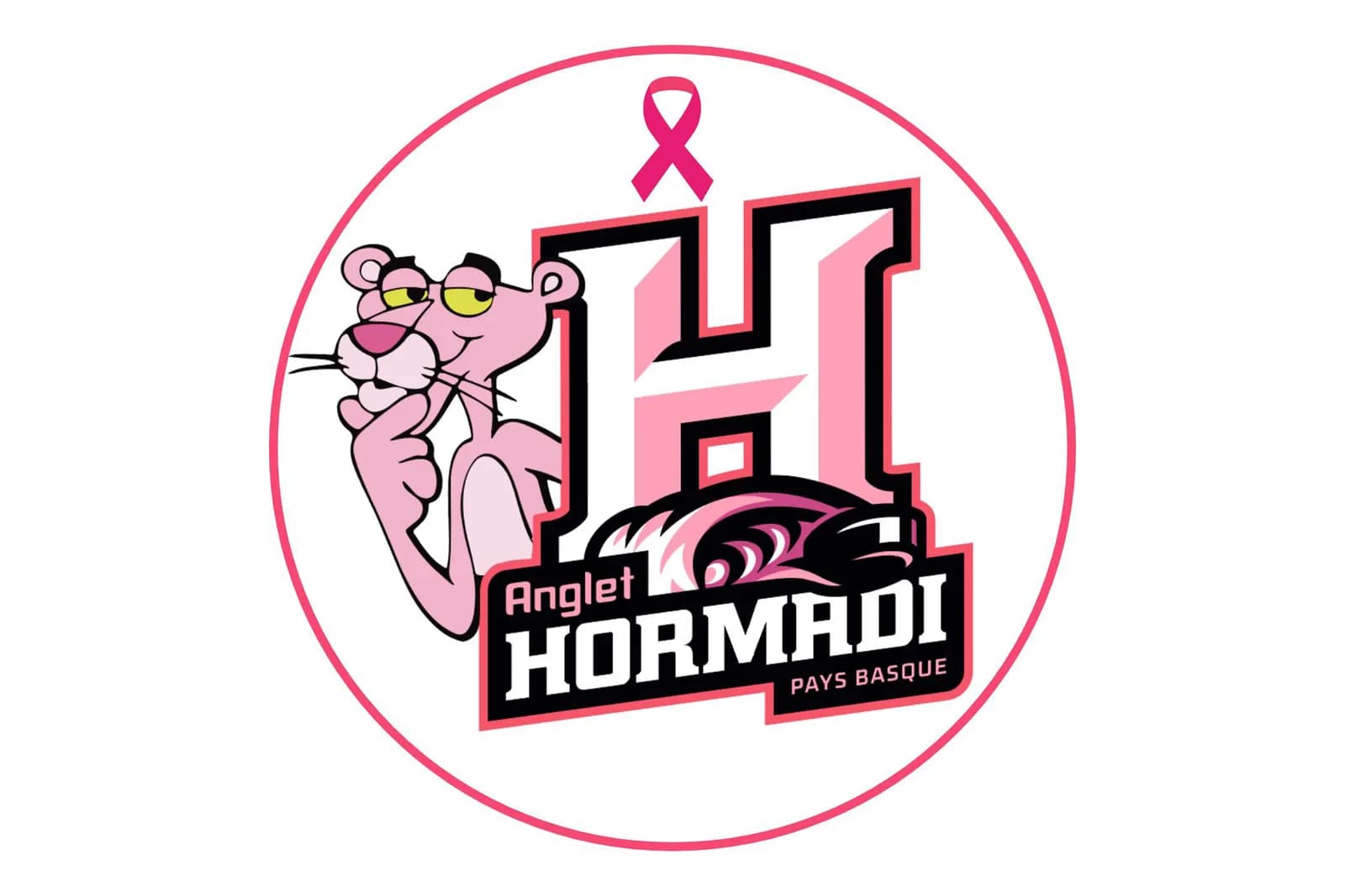 Image 4 : Hockey sur glace : Anglet Hormadi - Diables Rouges de Briançon background