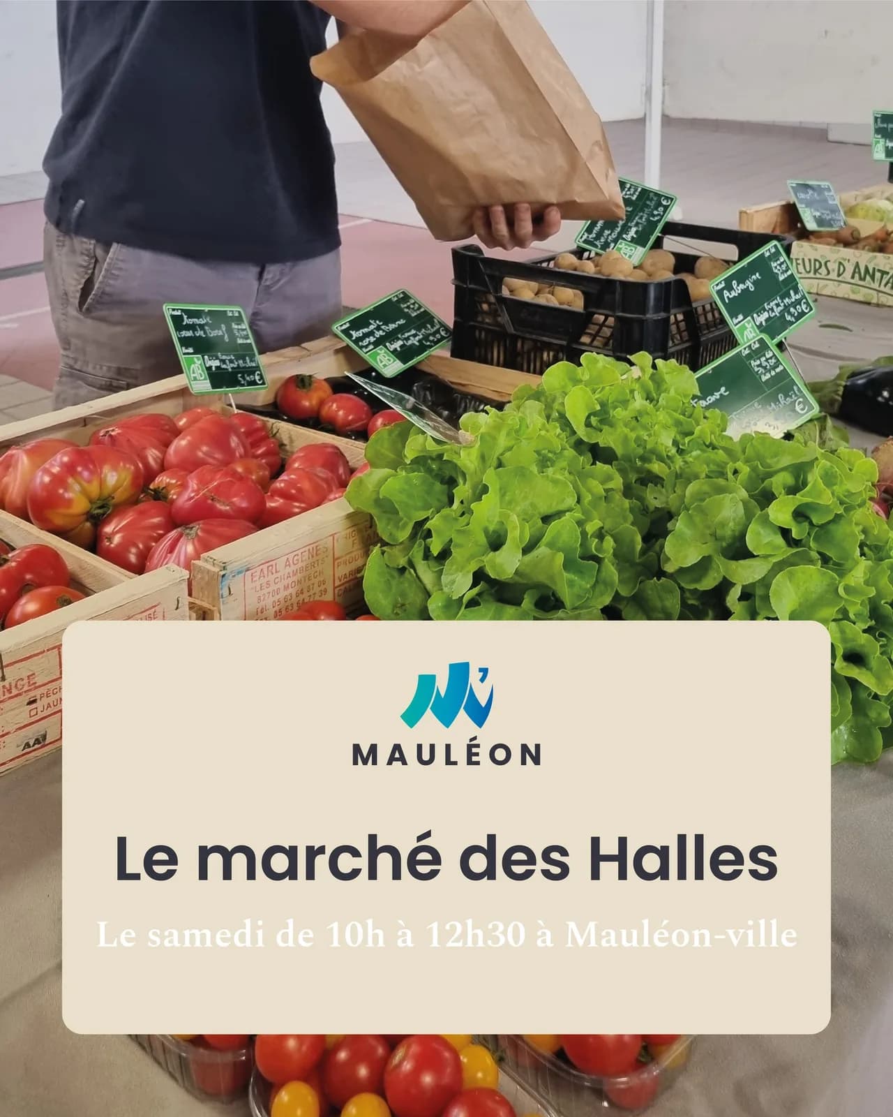 Image 1 : Marché de Mauléon background