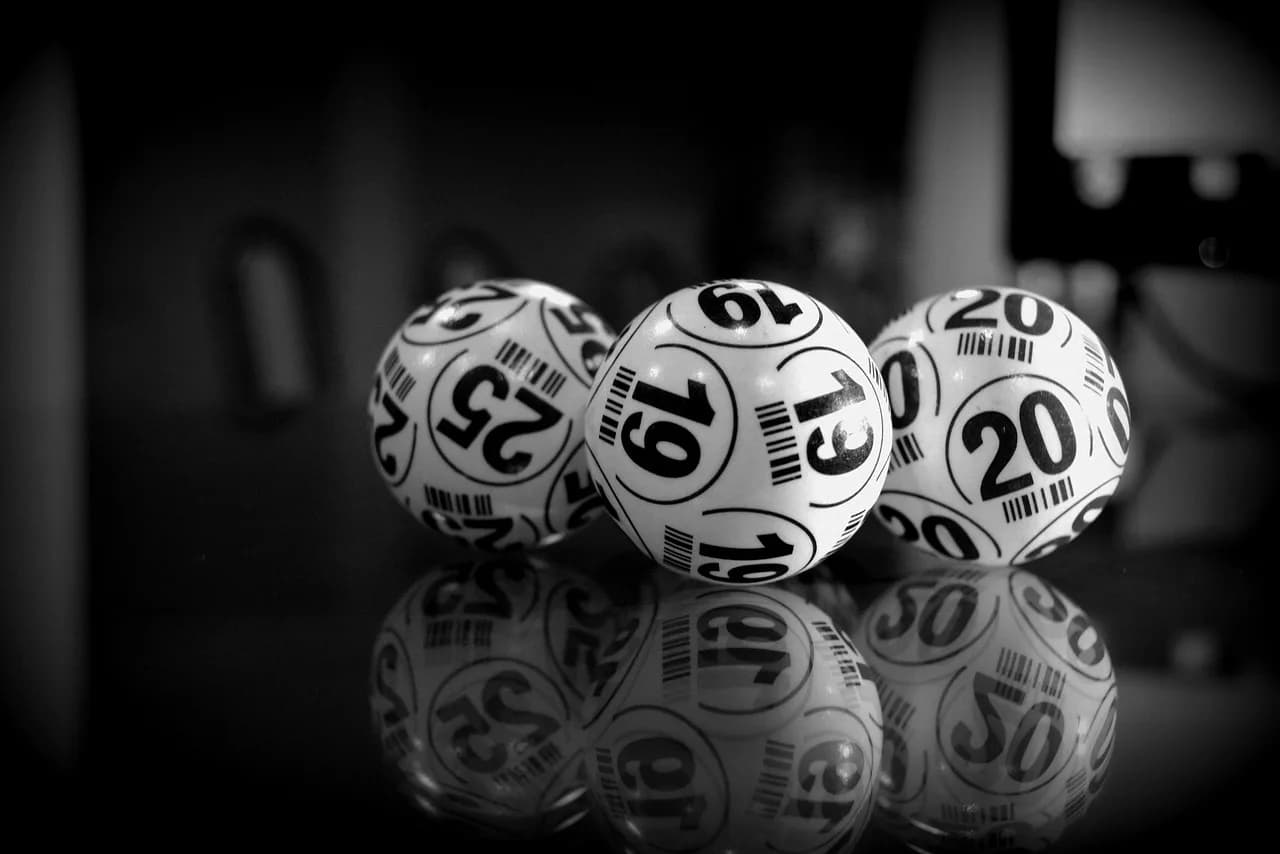 Image 1 : Loto background