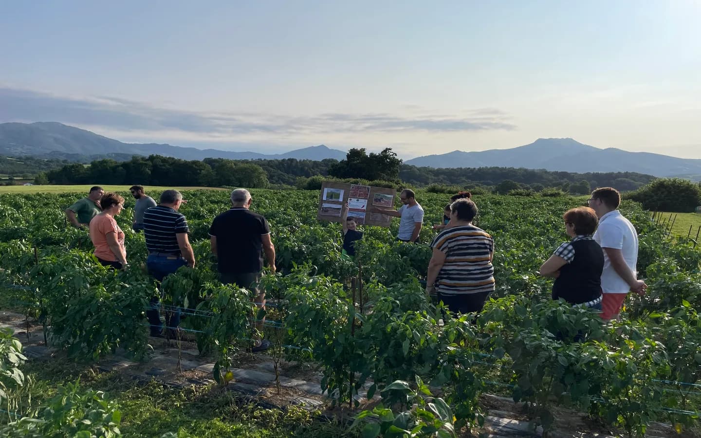 Image 4 : Visite d'une ferme familiale de piment d'Espelette background