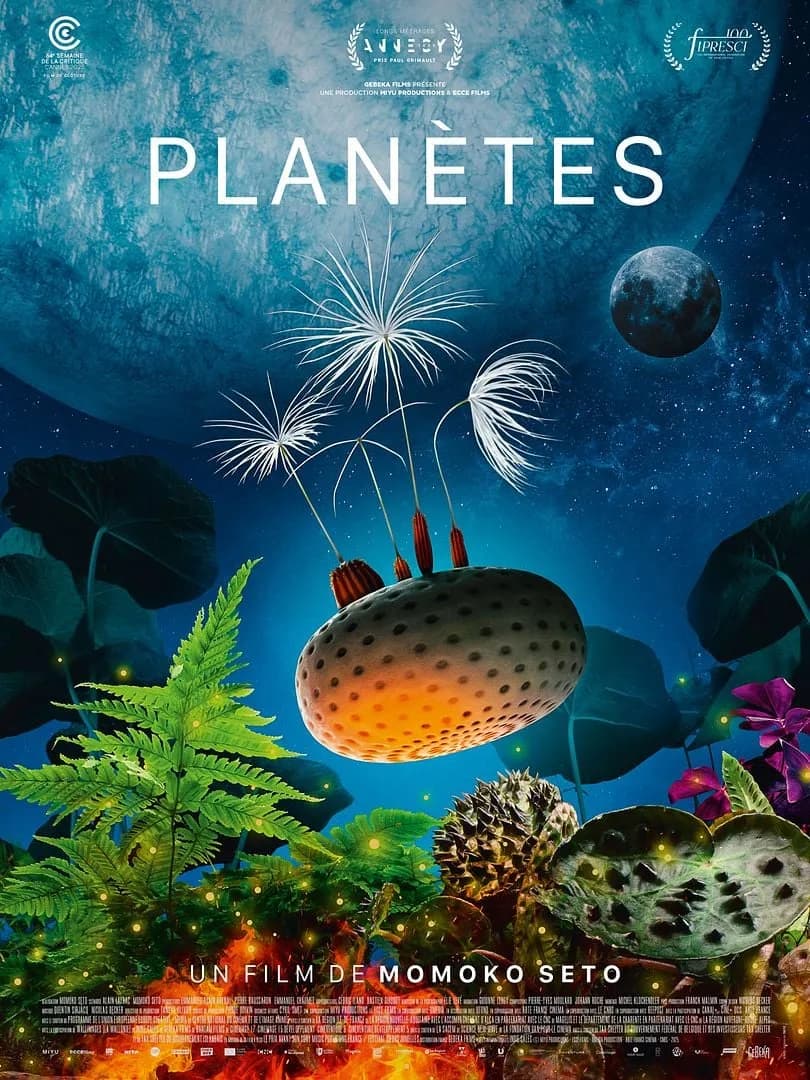 Image 1 : Ciné-rencontre : Planètes background