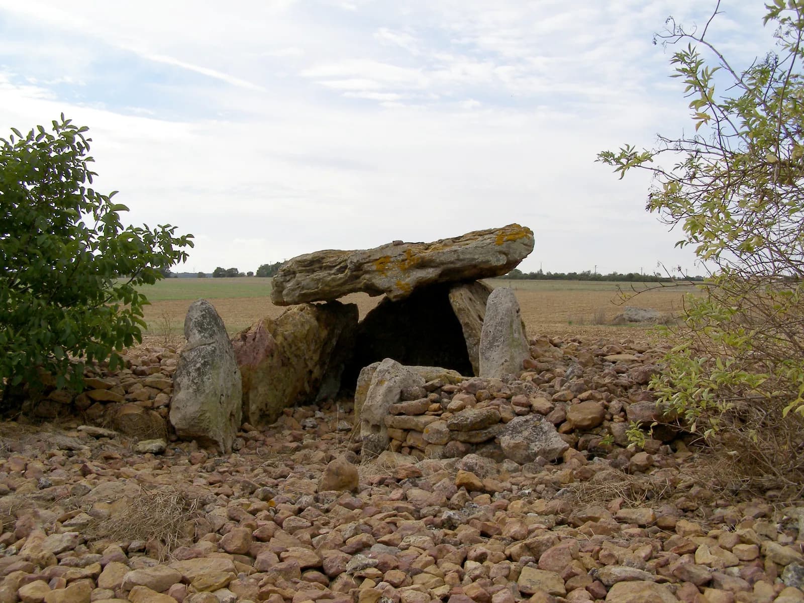Image 1 : Visite des dolmens de la nécropole de Monpalais background