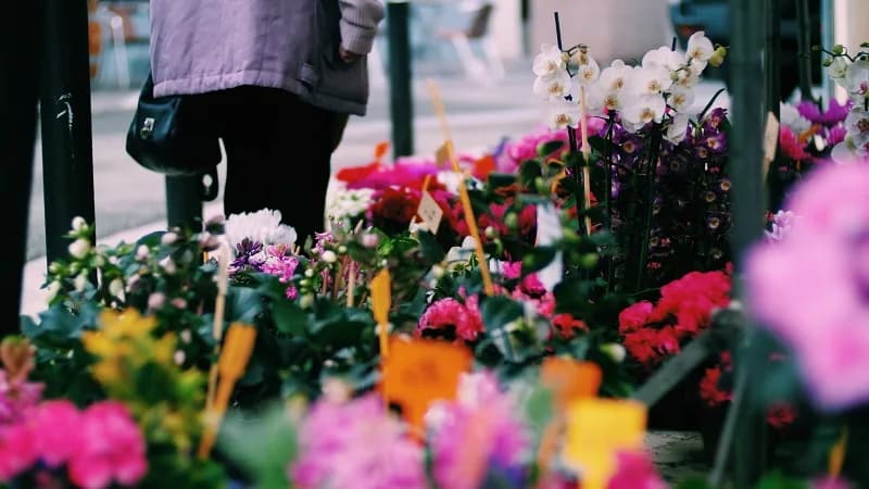 Image 3 : Marché traditionnel background