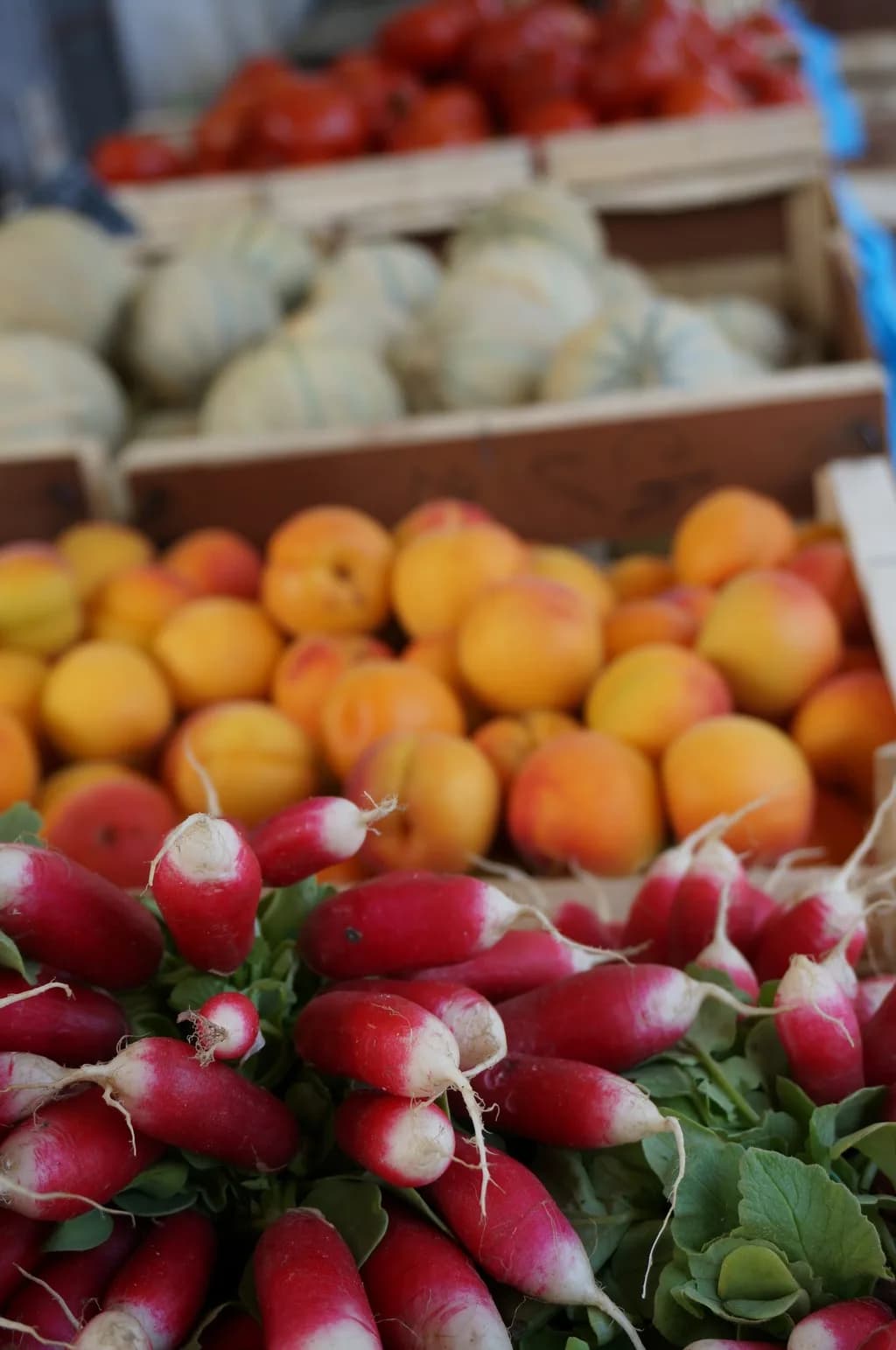 Image 1 : Marché Uzerchois background