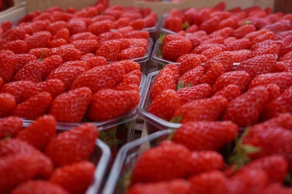 Image 3 : Marché Uzerchois background