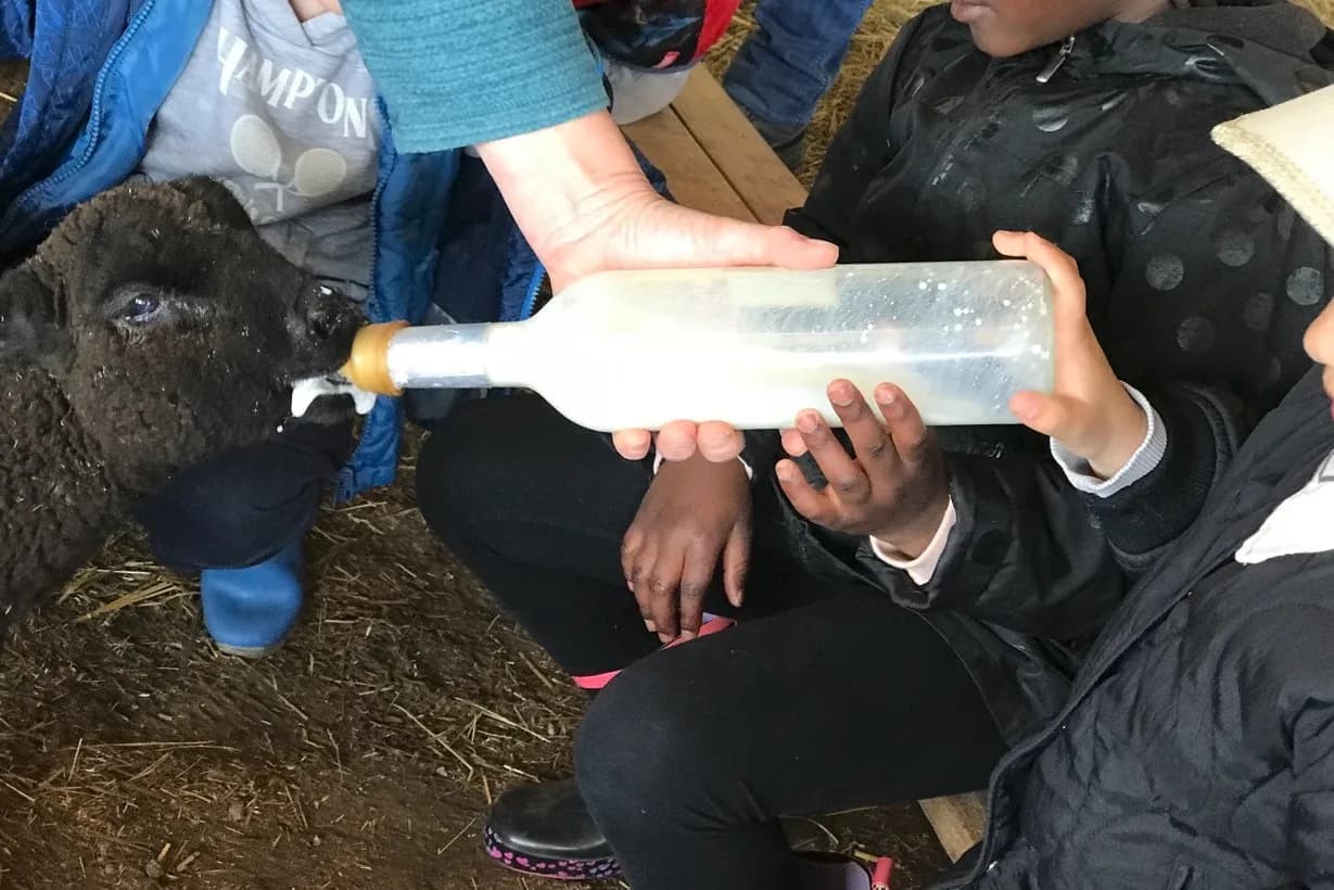 Image 1 : Les journées de la ferme Les Sabots de Laine background