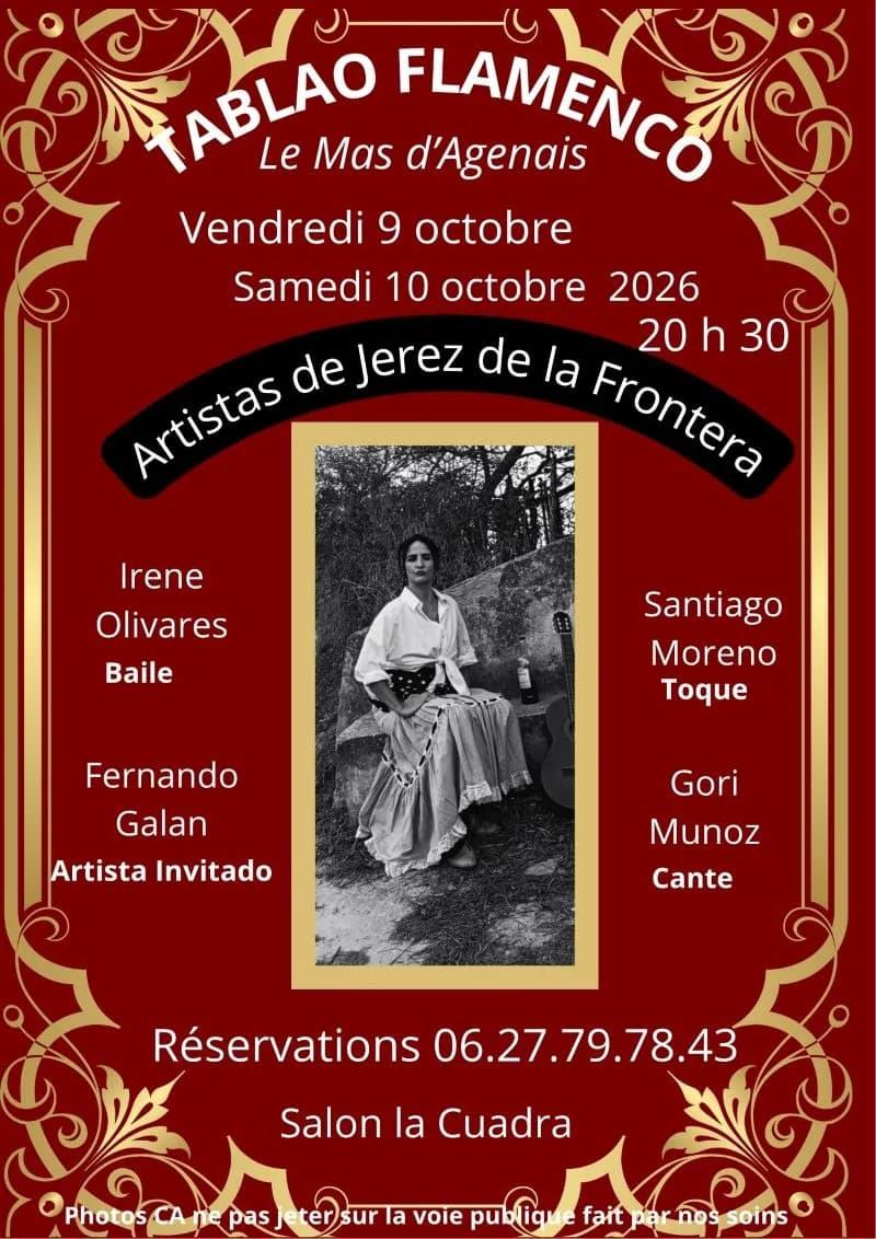 Image 1 : Tablao Flamenco au Mas D'Agenais background