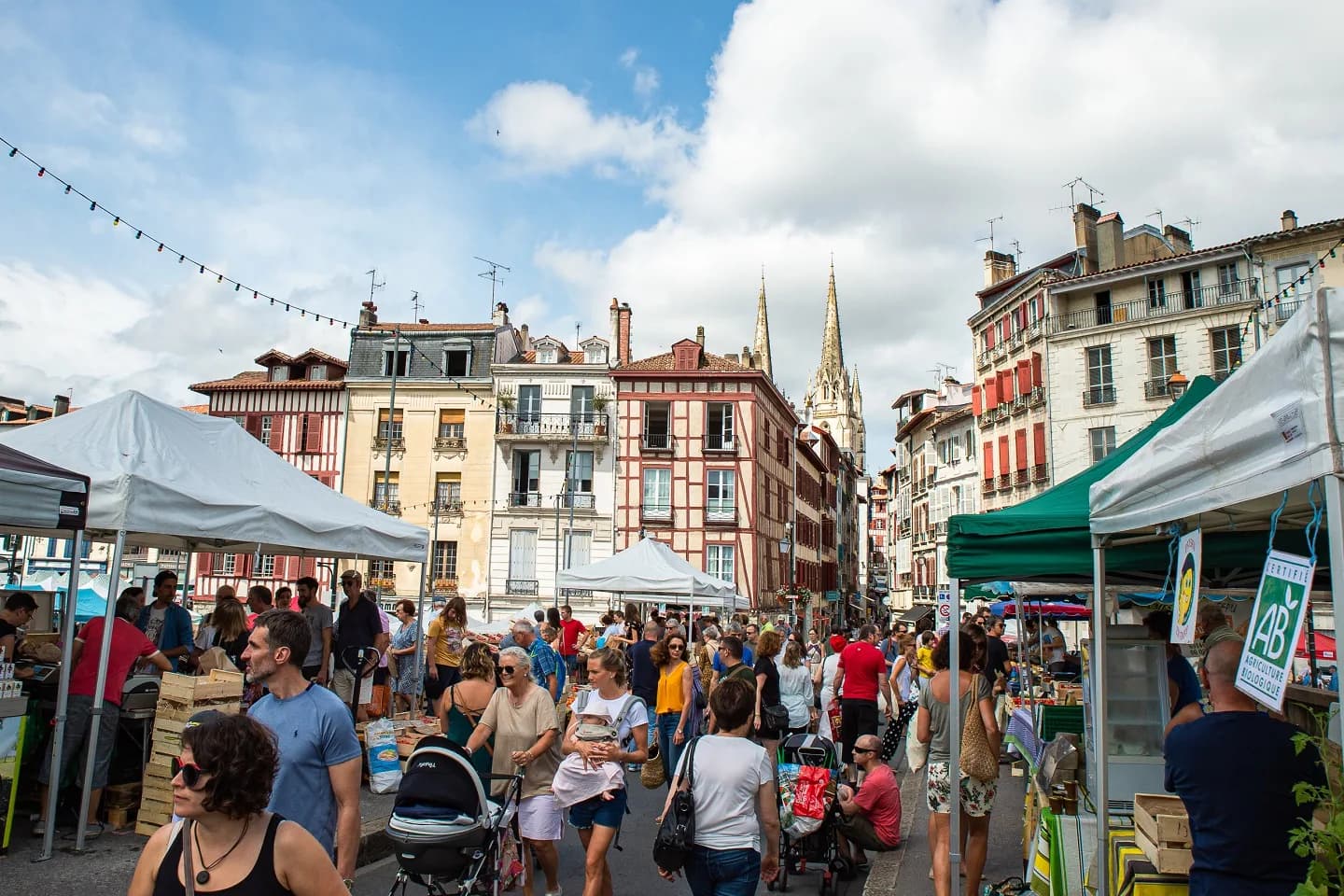 Image 1 : Marché Traditionnel background