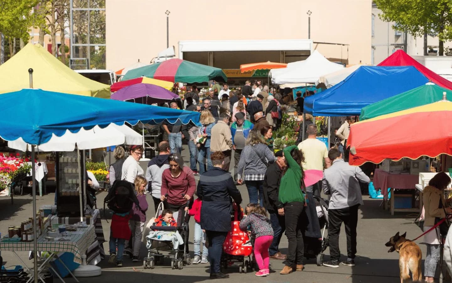 Image 1 : Marché traditionnel background