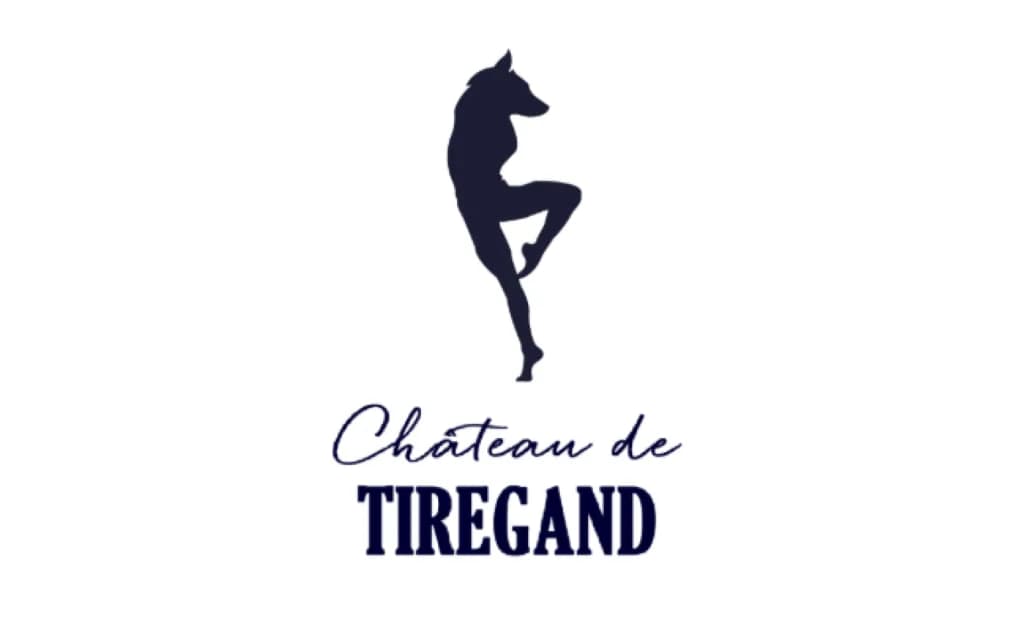 Image 1 : Visite & dégustation - 14h - Anglais | Château de Tiregand background