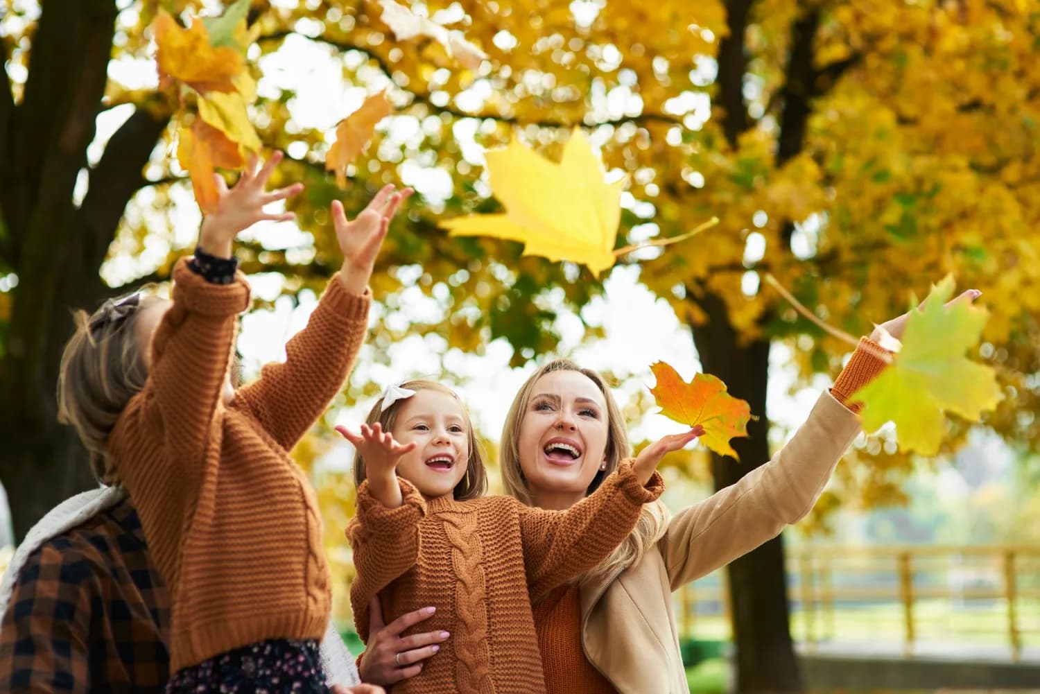 Image 1 : Fête de l'Automne background