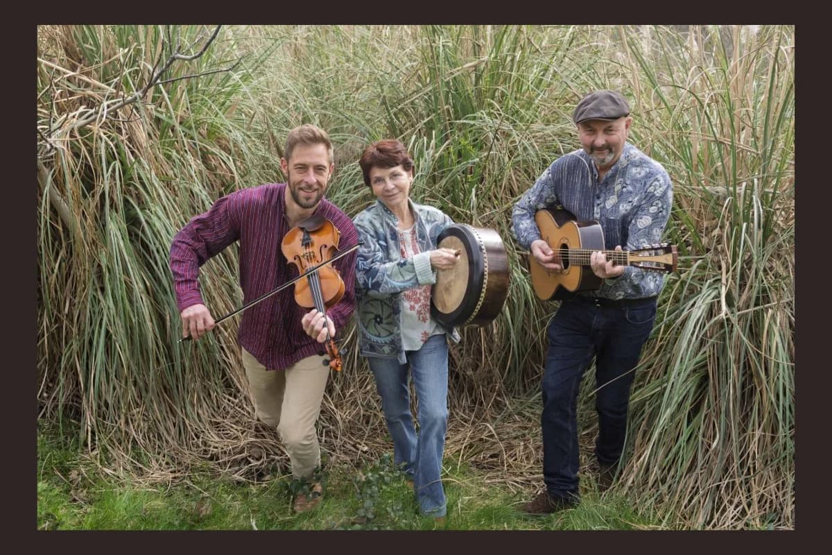 Image 1 : Concert | Skellig Irish Trio background