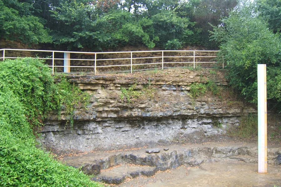 Image 2 : La Réserve Naturelle Nationale du Toarcien background