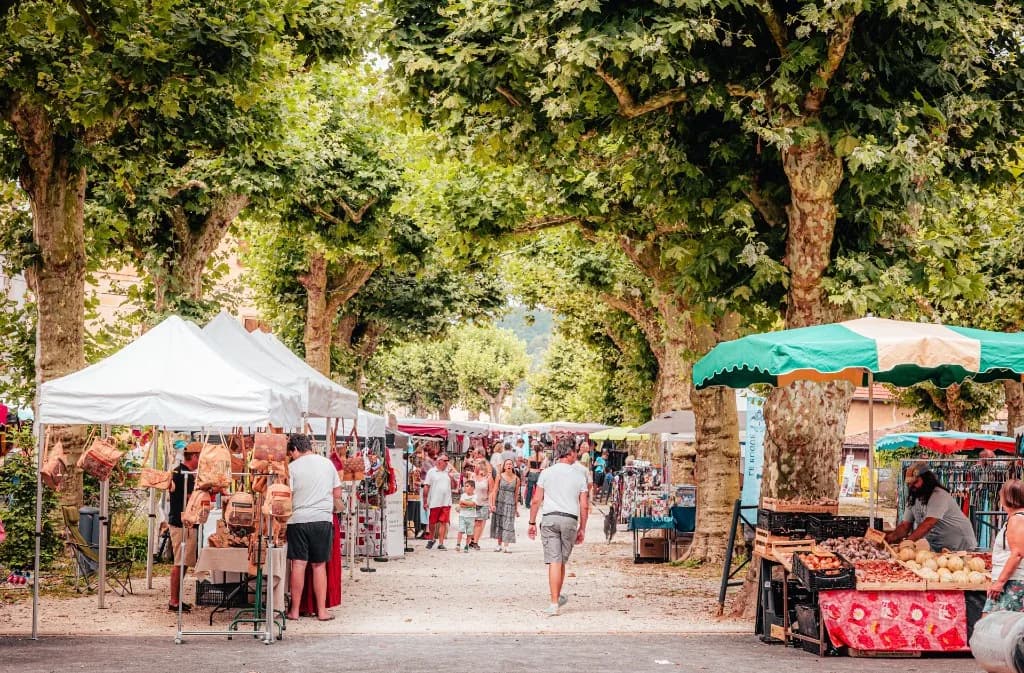 Image 1 : Marché traditionnel du jeudi background