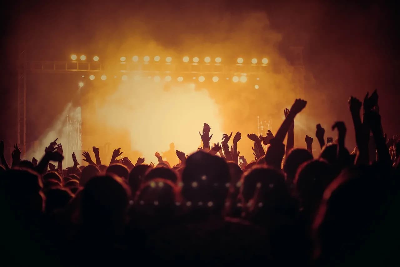 Image 1 : Concert Los Cayapas background