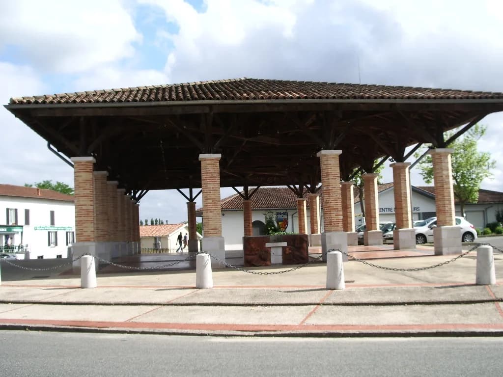 Image 2 : La bastide de Montfort-en-Chalosse avec Maïté background