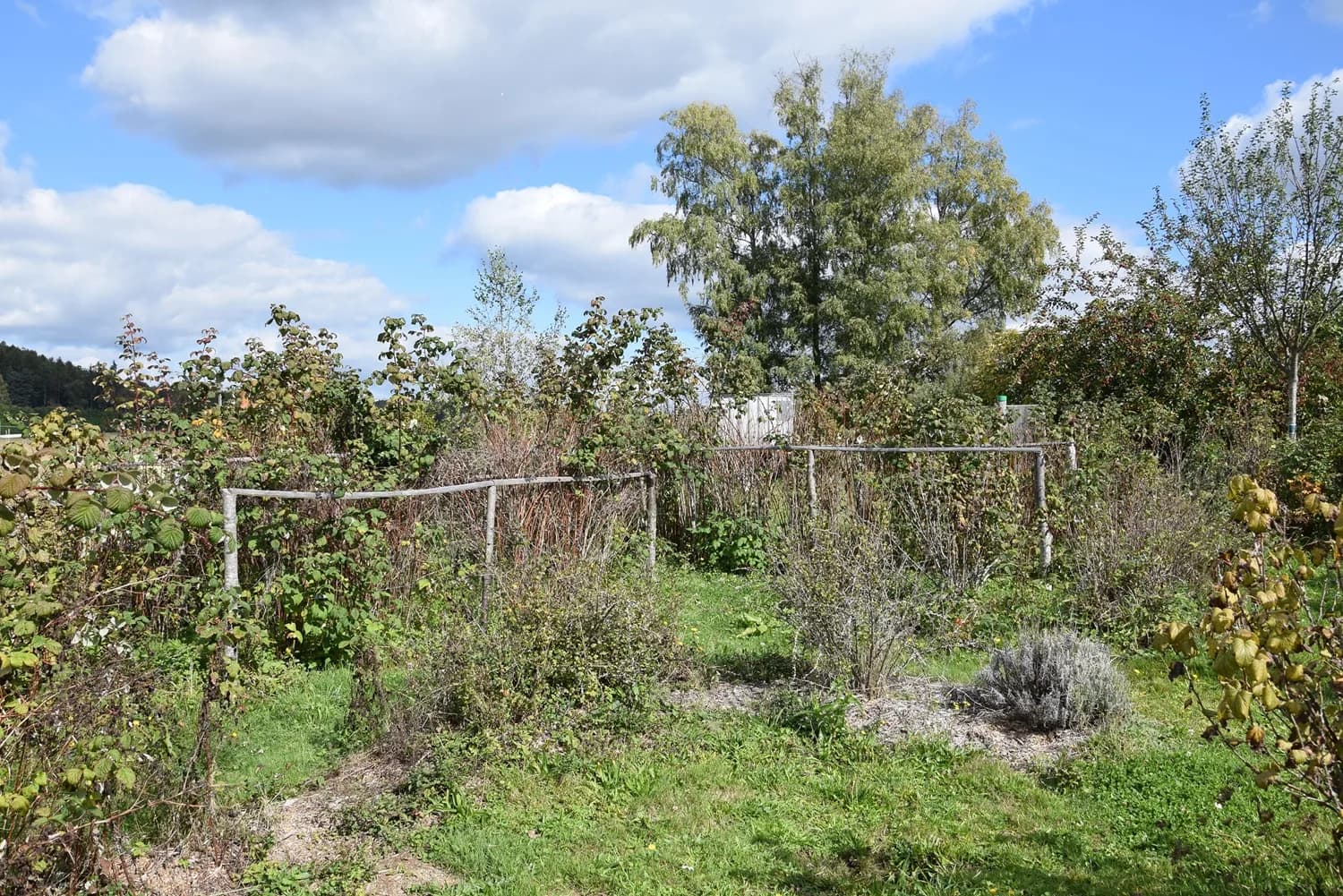 Image 2 : Stage création de jardin background