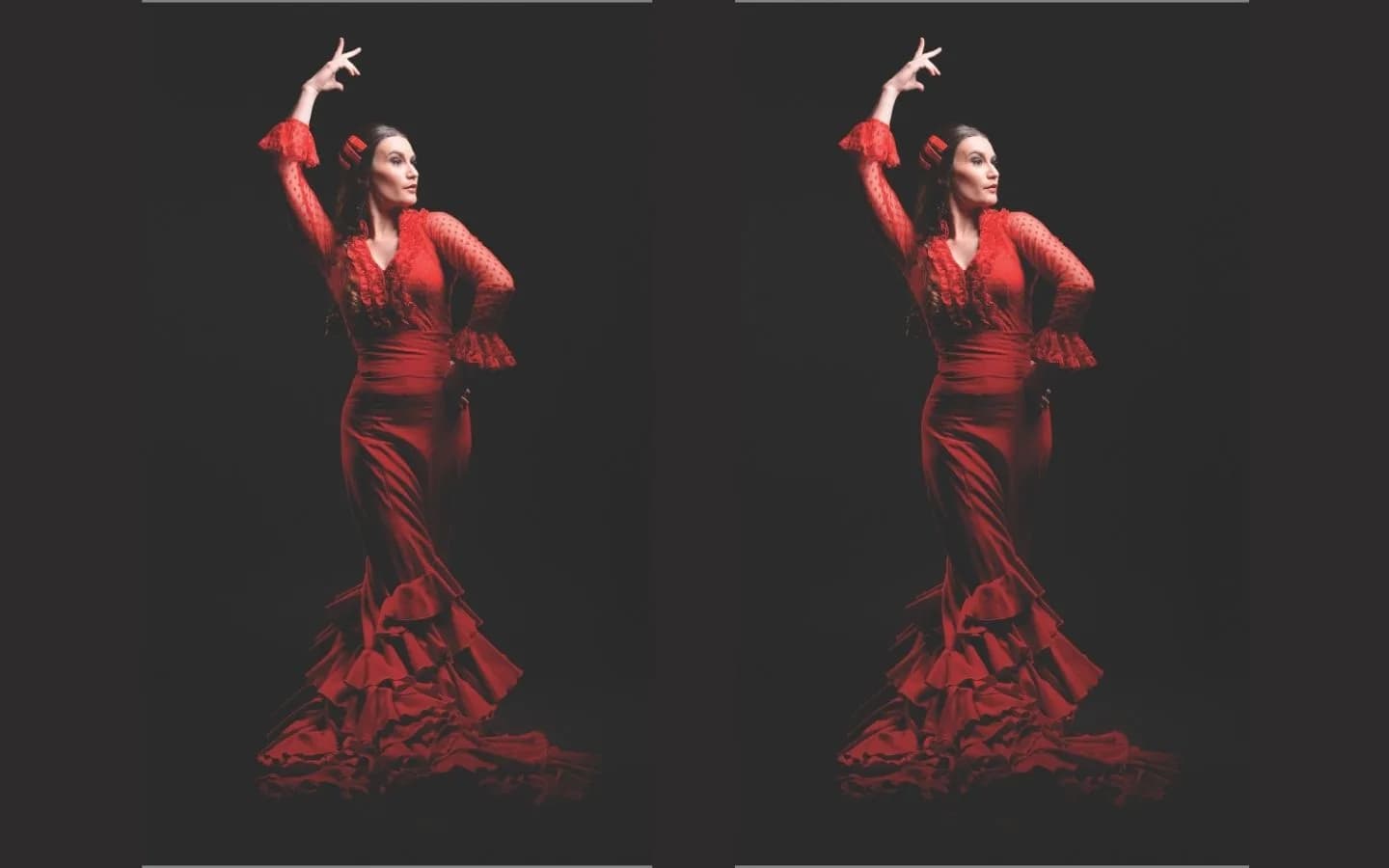 Image 1 : La cecilia tablao background