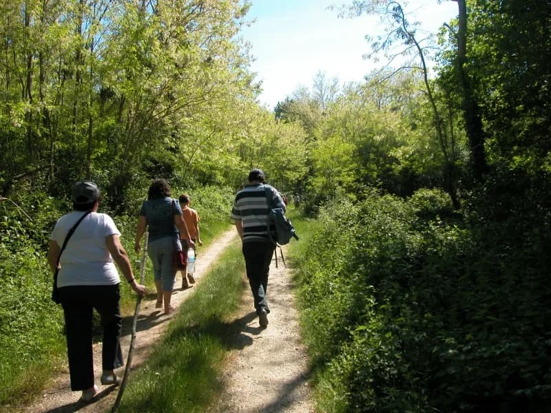 Image 2 : Voyage dans le passé background