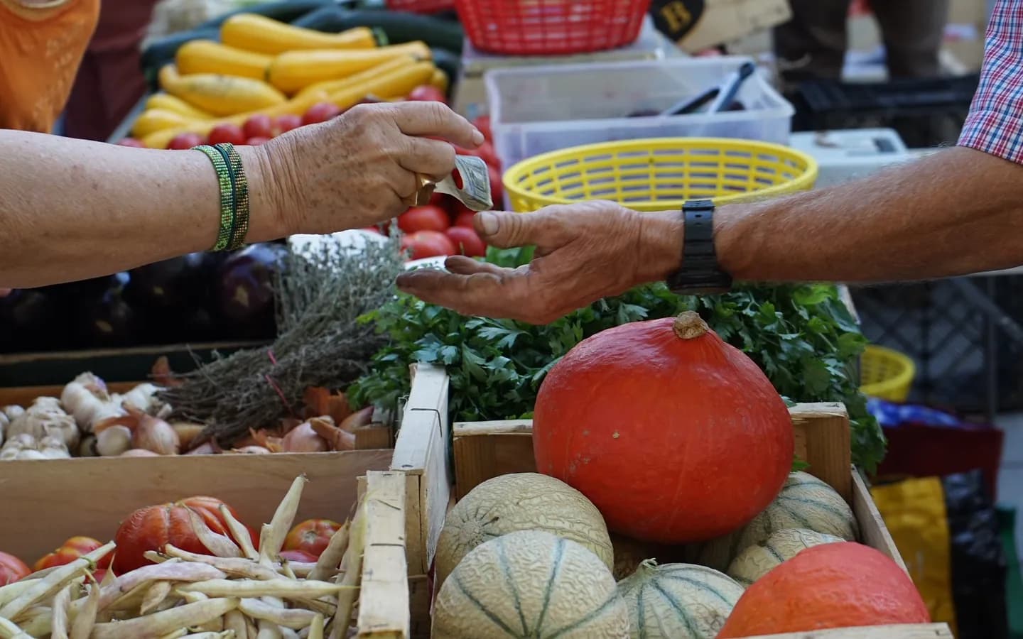 Image 2 : Marché d'Urrugne background