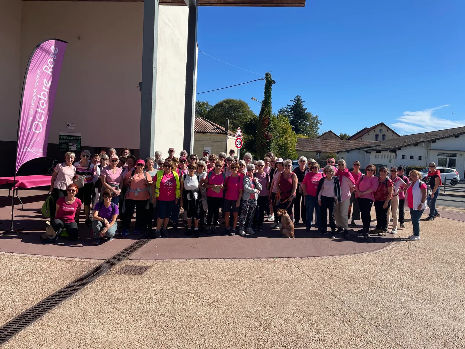 Image 1 : ACL - Marche Octobre Rose background