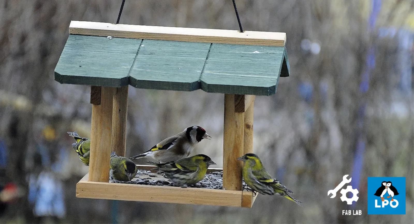 Image 1 : Conférence : Les Oiseaux du Jardin background