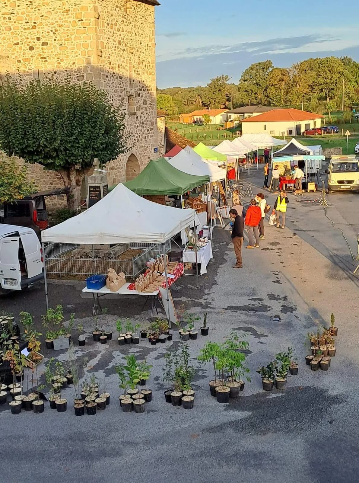 Image 1 : Marché à Saint Genest Sur Roselle background