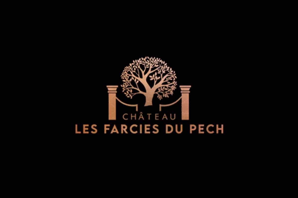 Image 1 : Visite & dégustation | Château les Farcies du Pech background