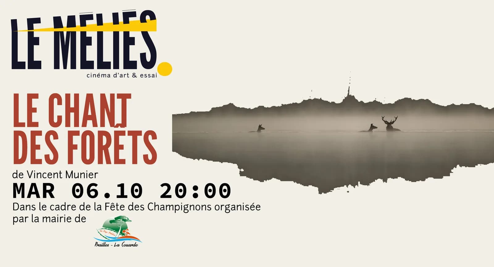 Image 1 : Projection pour la Fête des Champignons background