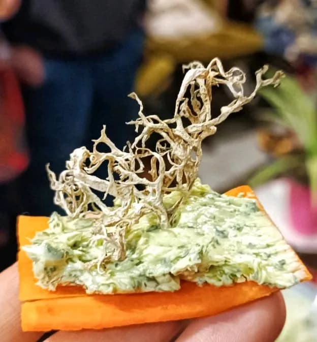 Image 4 : Atelier découverte "Le petit peuple des herbes" background