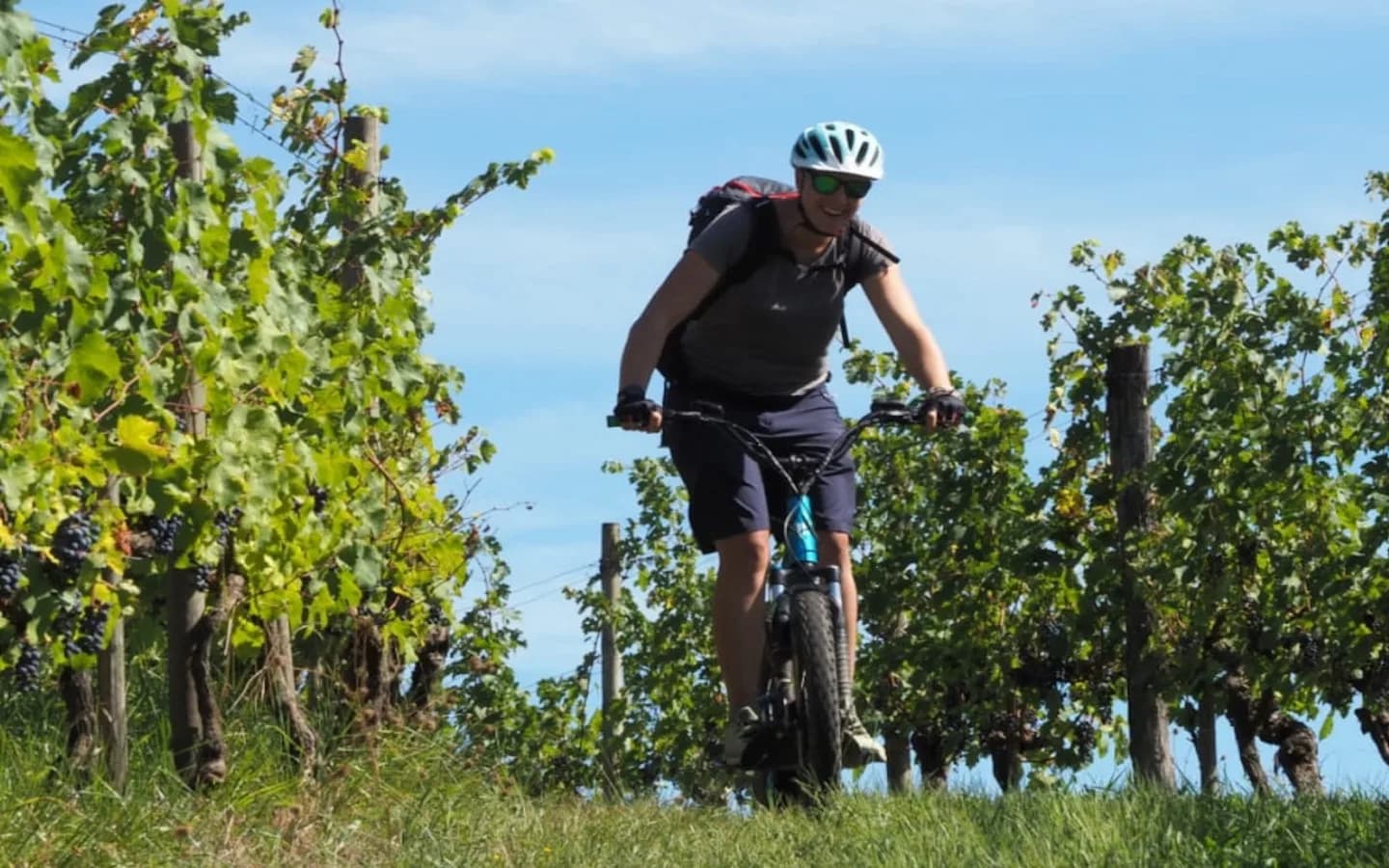 Image 1 : Rando à la ferme avec Trott'Iraty et pique-nique du berger background