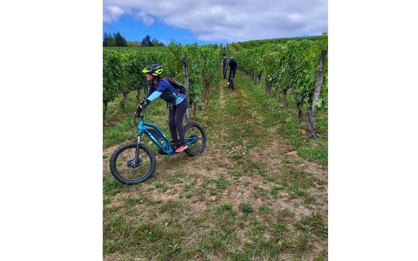 Image 3 : Rando à la ferme avec Trott'Iraty et pique-nique du berger background