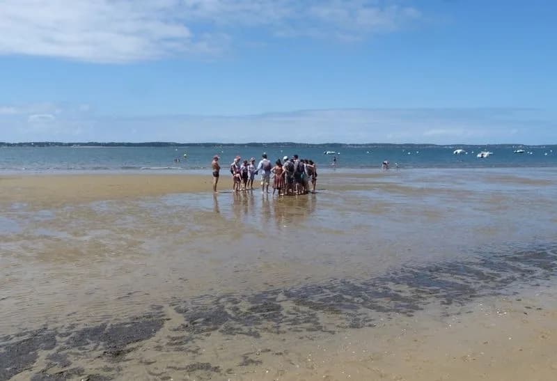 Image 1 : Visite guidée : La vie secrète du banc de sable de Pereire background