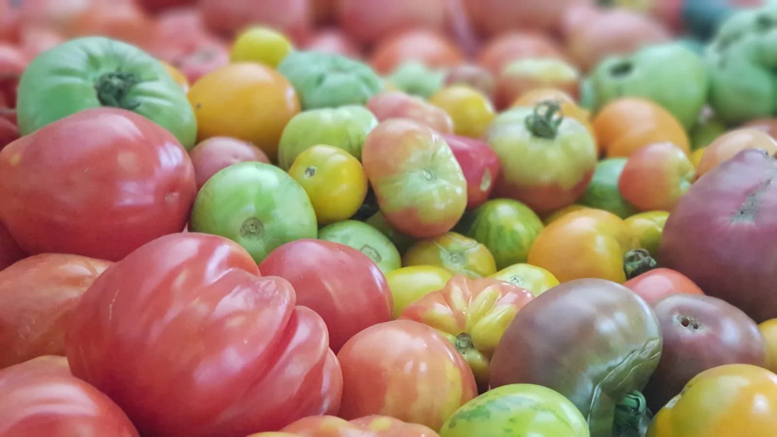 Image 1 : Marché hebdomadaire background