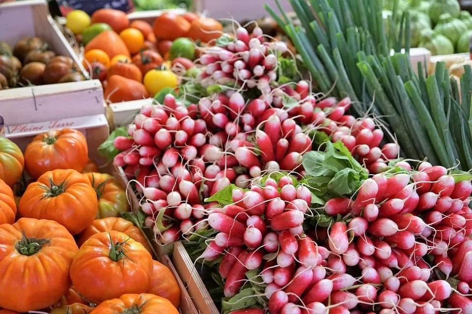 Image 1 : Marché de Cussac background