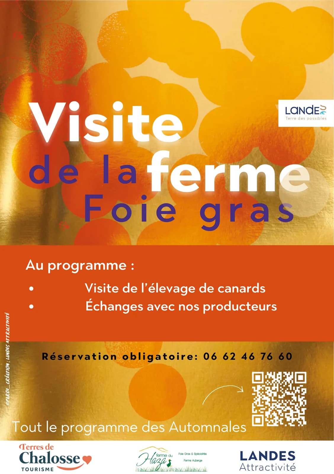 Image 1 : Atelier visite de la ferme par Marion - Les Automnales du foie gras background