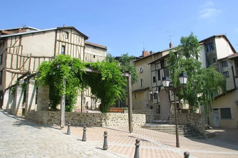 Image 2 : Maison et quartier de la Boucherie - Visite Guidée background