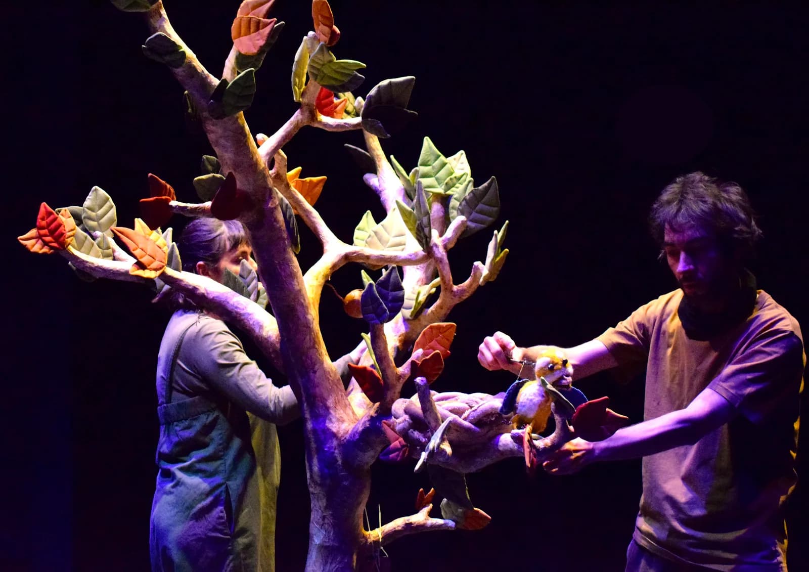 Image 1 : Spectacle "Le Premier Envol" background