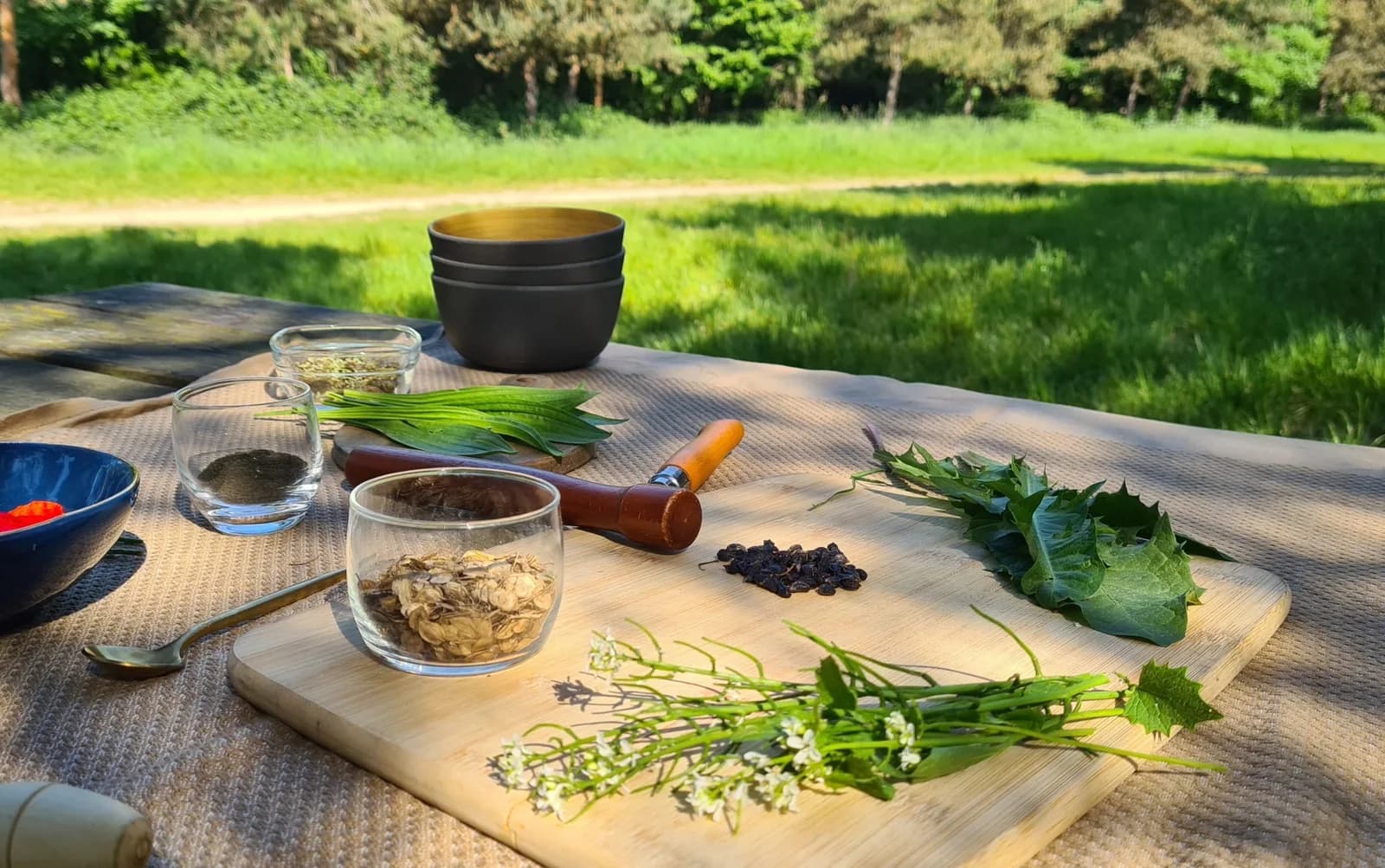 Image 1 : Atelier cuisine des plantes sauvage background
