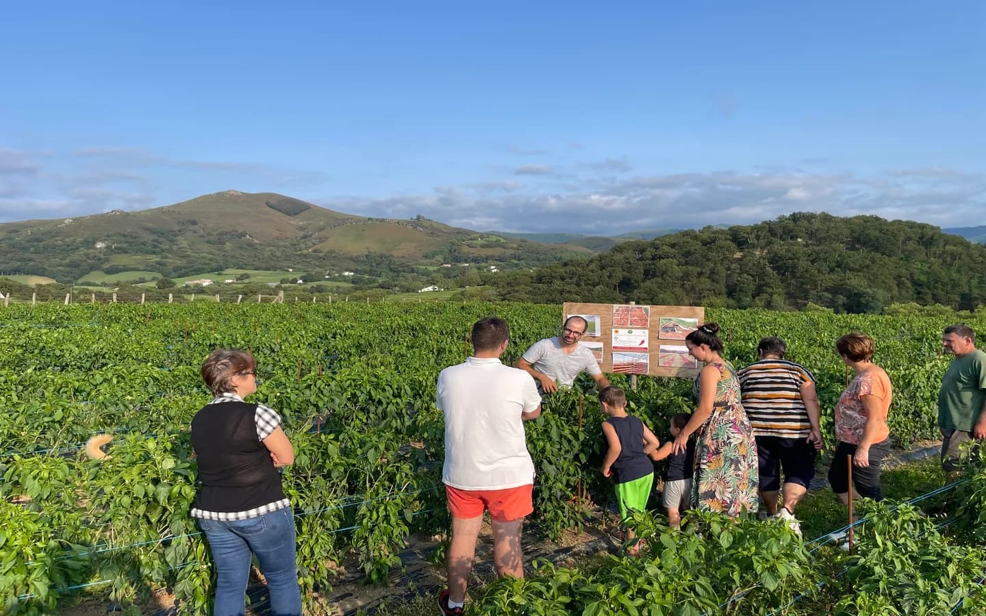 Image 1 : Visite d'une ferme familiale de piment d'Espelette background