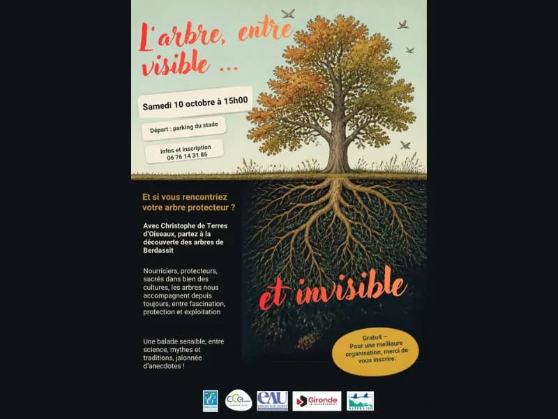 Image 1 : Visite de Berdassit : l'arbre entre visible et invisible background